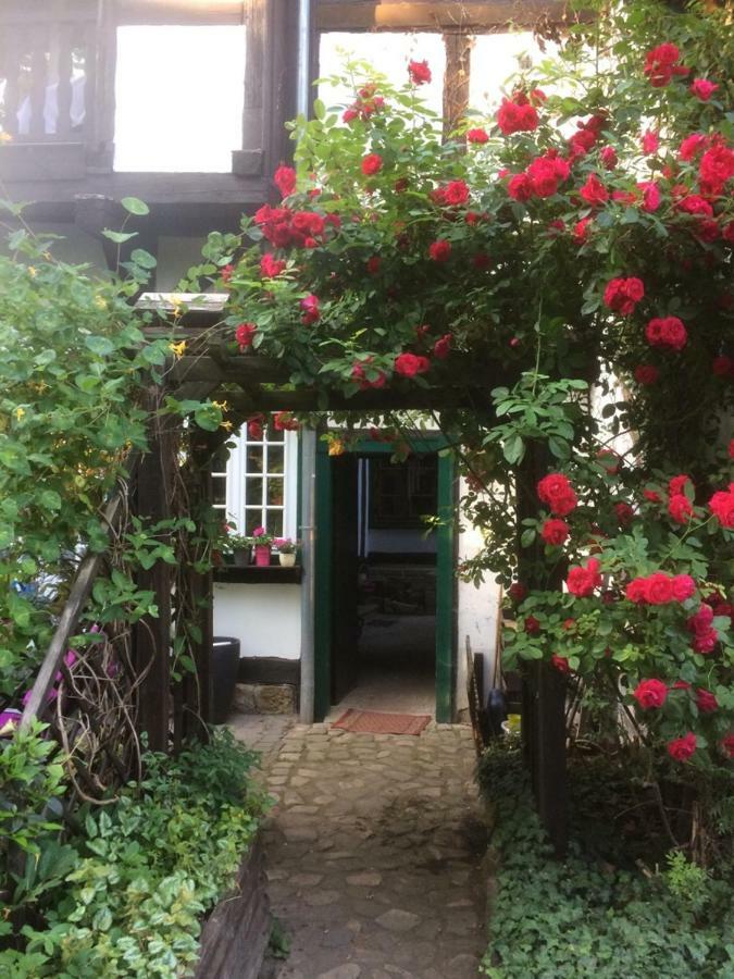 Apartment 1 Am Damm Quedlinburg Bagian luar foto